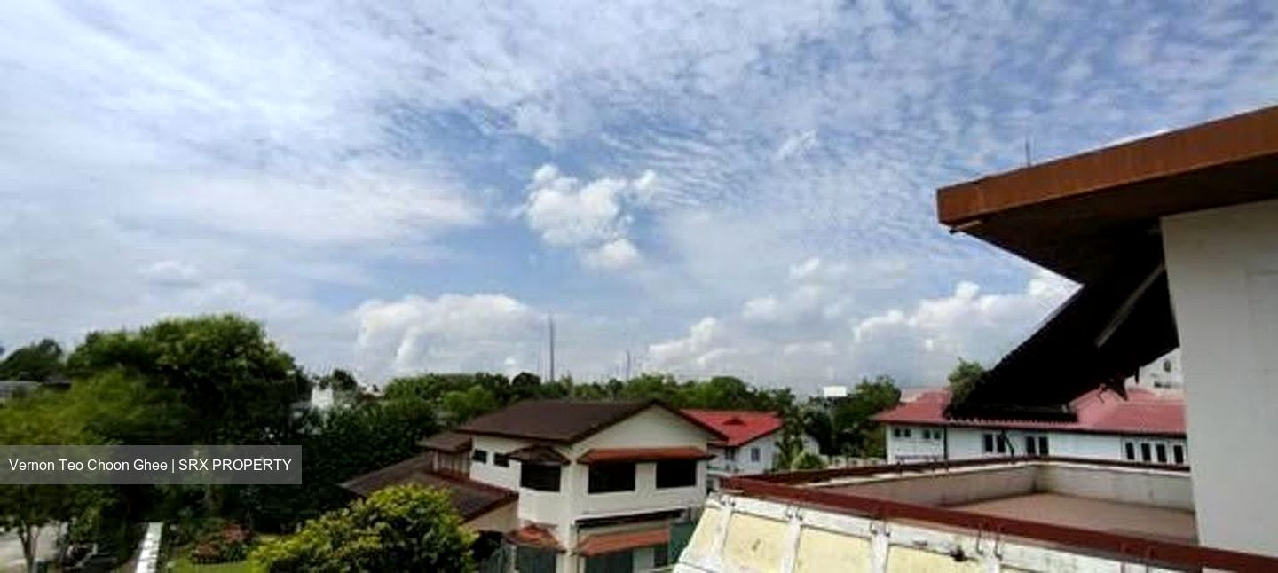 Leedon Park (D10), Detached #617884561